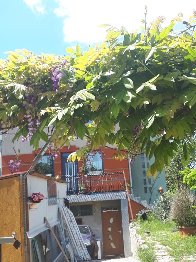 Sarkany Lak Diosd Bagian luar foto